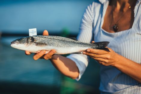 Allevamento ittico in mezzo al mare